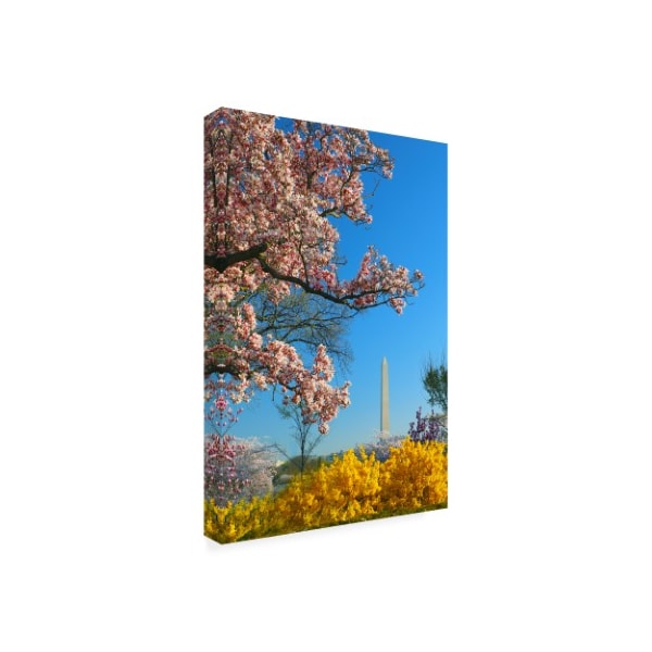 Mitch Catanzaro 'Washington Spring' Canvas Art,22x32